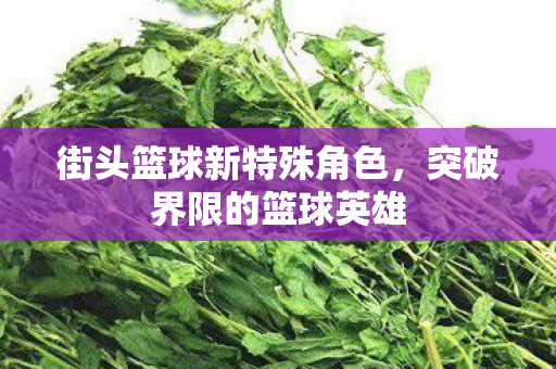 街头篮球新特殊角色图片
