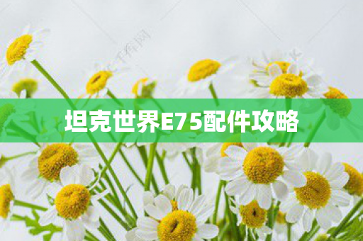 坦克世界E75配件攻略图片