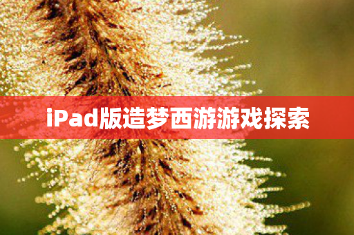 iPad版造梦西游游戏探索图片