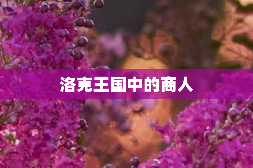 洛克王国中的商人图片