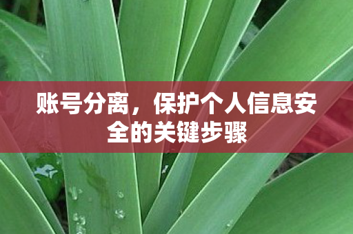 保护个人信息安全的关键步骤图片