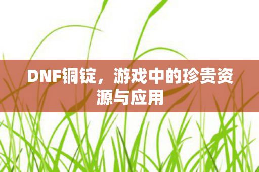 游戏中的珍贵资源与应用图片