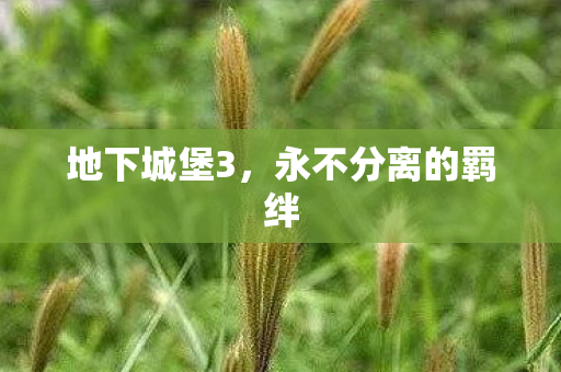 永不分离的羁绊图片
