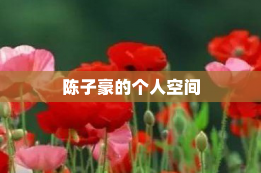 陈子豪的个人空间图片