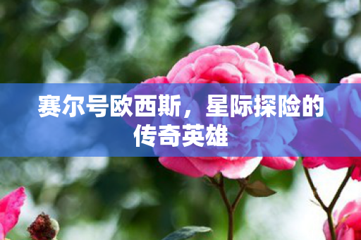星际探险的传奇英雄图片