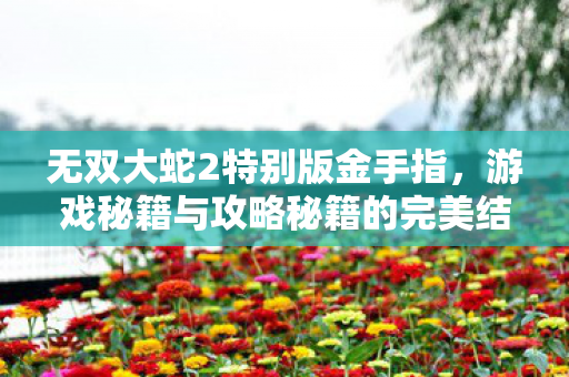 游戏秘籍与攻略秘籍的完美结合图片