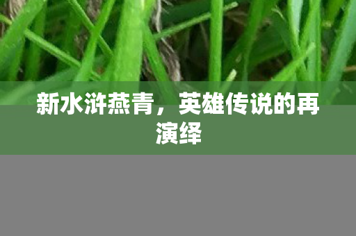 英雄传说的再演绎图片