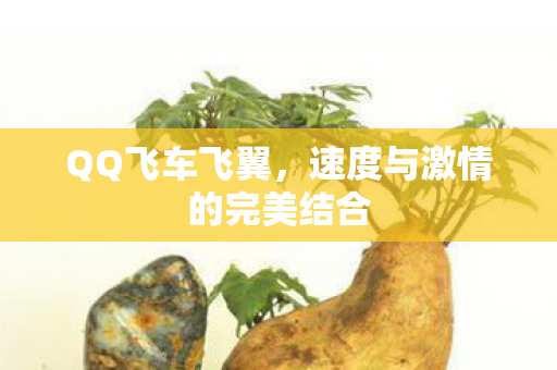 速度与激情的完美结合图片