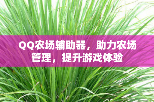 QQ农场辅助器图片