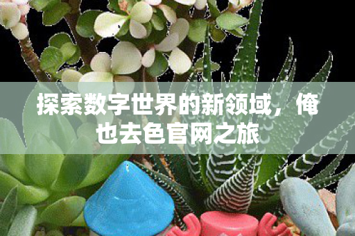 探索数字世界的新领域图片
