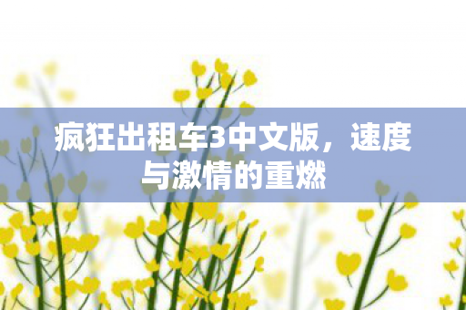 疯狂出租车3中文版图片