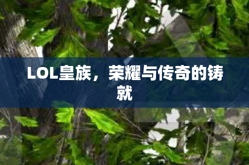 荣耀与传奇的铸就图片