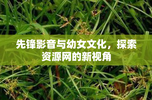 先锋影音与幼女文化图片
