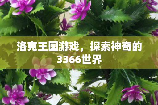 探索神奇的3366世界图片