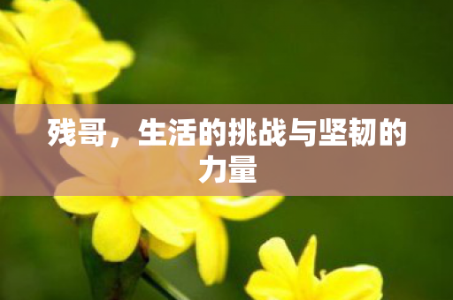 生活的挑战与坚韧的力量图片