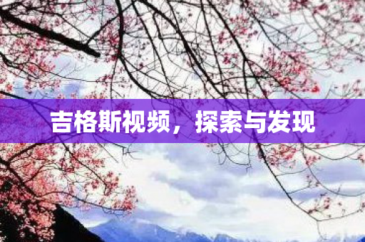 吉格斯视频图片