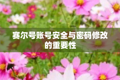 赛尔号账号安全与密码修改的重要性图片
