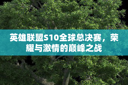 英雄联盟S10全球总决赛图片