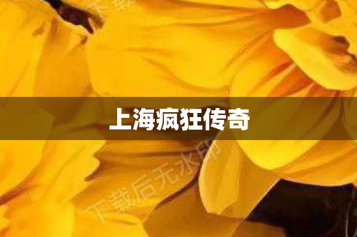 上海疯狂传奇图片