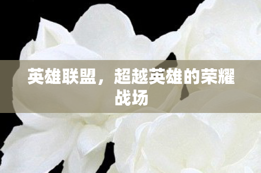 超越英雄的荣耀战场图片