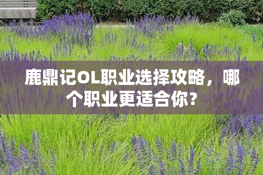 鹿鼎记OL职业选择攻略图片