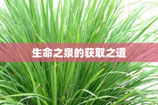 生命之泉的获取之道图片