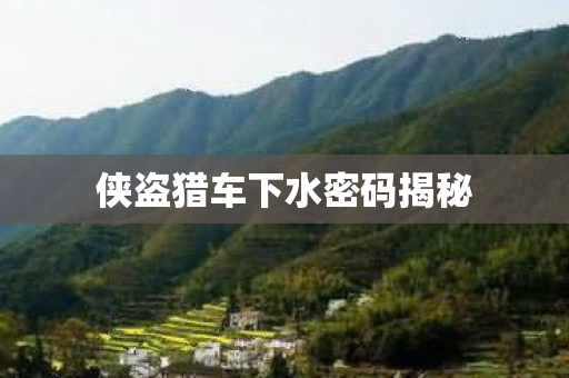 侠盗猎车下水密码揭秘图片