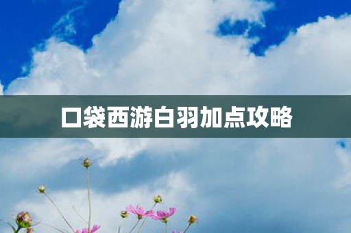 口袋西游白羽加点攻略图片