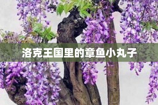 洛克王国里的章鱼小丸子图片