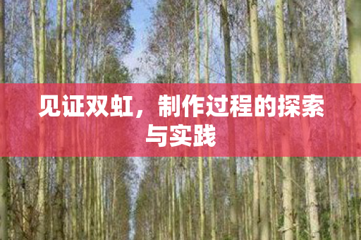 制作过程的探索与实践图片