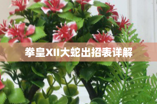 拳皇XII大蛇出招表详解图片