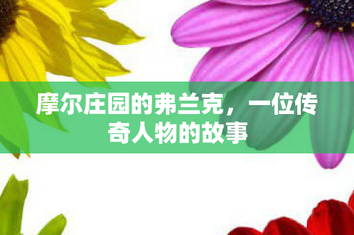 一位传奇人物的故事图片