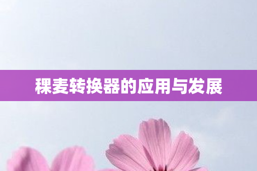 稞麦转换器的应用与发展图片