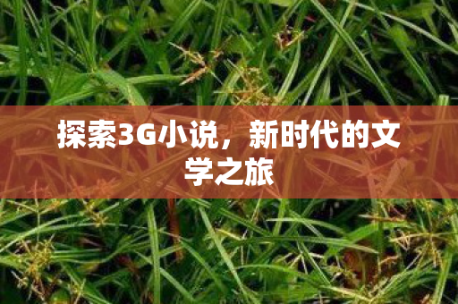 新时代的文学之旅图片