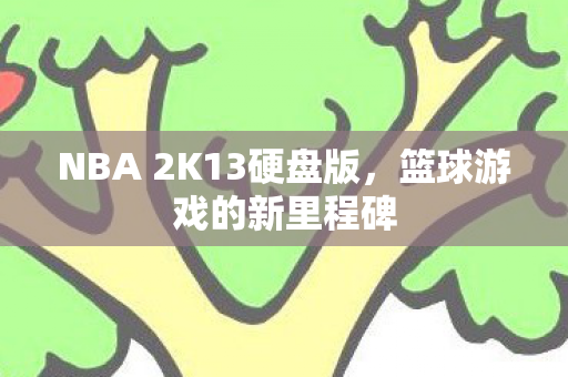 NBA 2K13硬盘版图片