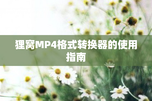 狸窝MP4格式转换器的使用指南图片