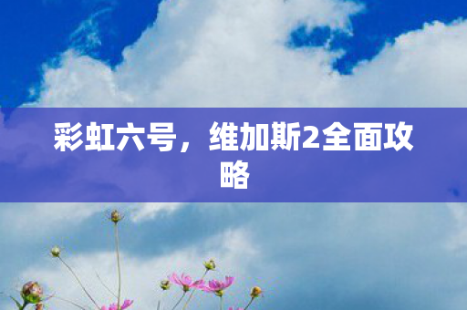 维加斯2全面攻略图片