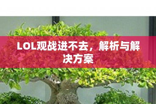 LOL观战进不去图片