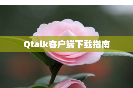 Qtalk客户端下载指南图片