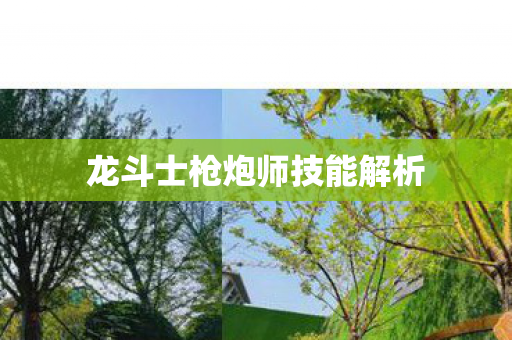 龙斗士枪炮师技能解析图片