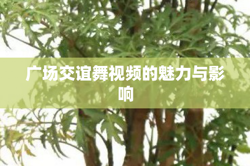 广场交谊舞视频的魅力与影响图片