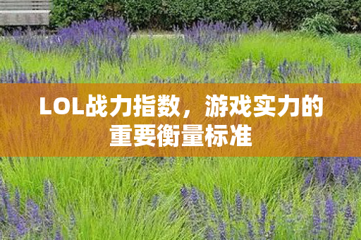 游戏实力的重要衡量标准图片