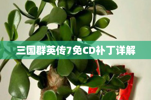 三国群英传7免CD补丁详解图片