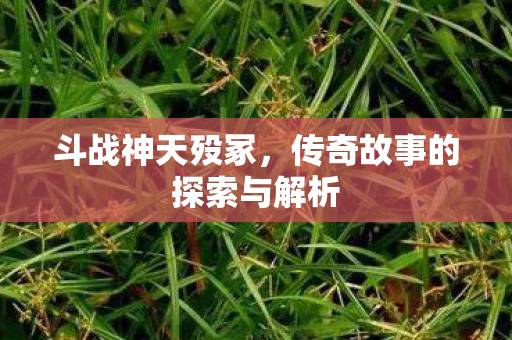 传奇故事的探索与解析图片