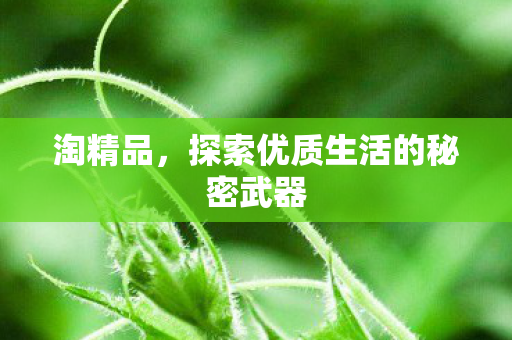 探索优质生活的秘密武器图片