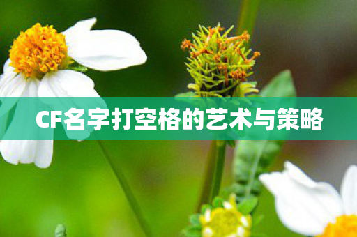 CF名字打空格的艺术与策略图片