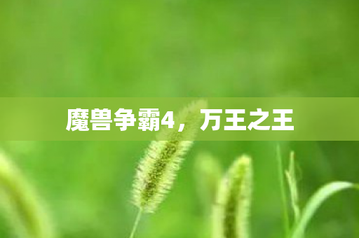 魔兽争霸4图片