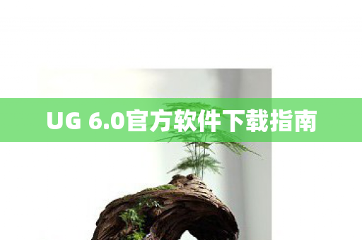 0官方软件下载指南图片
