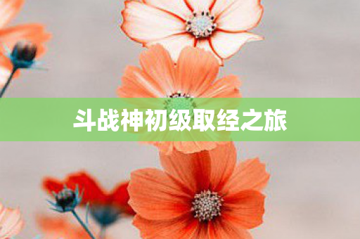 斗战神初级取经之旅图片