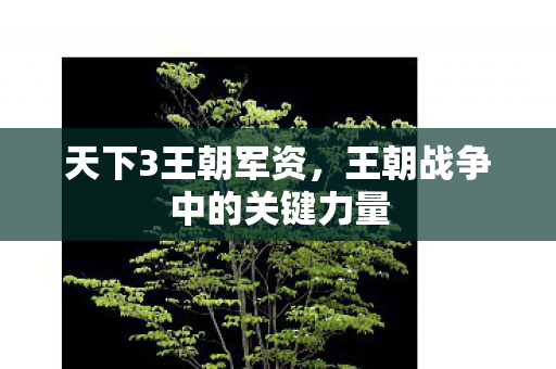 王朝战争中的关键力量图片